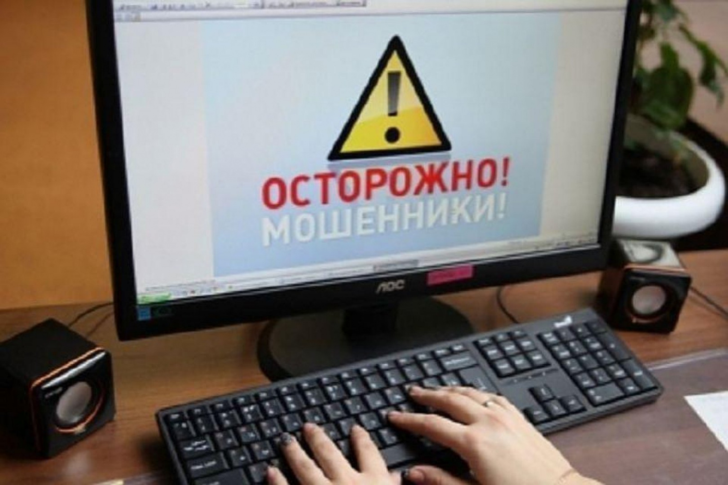 Вебинары о возможных схемах интернет-мошенничества в различных сферах жизнедеятельности..