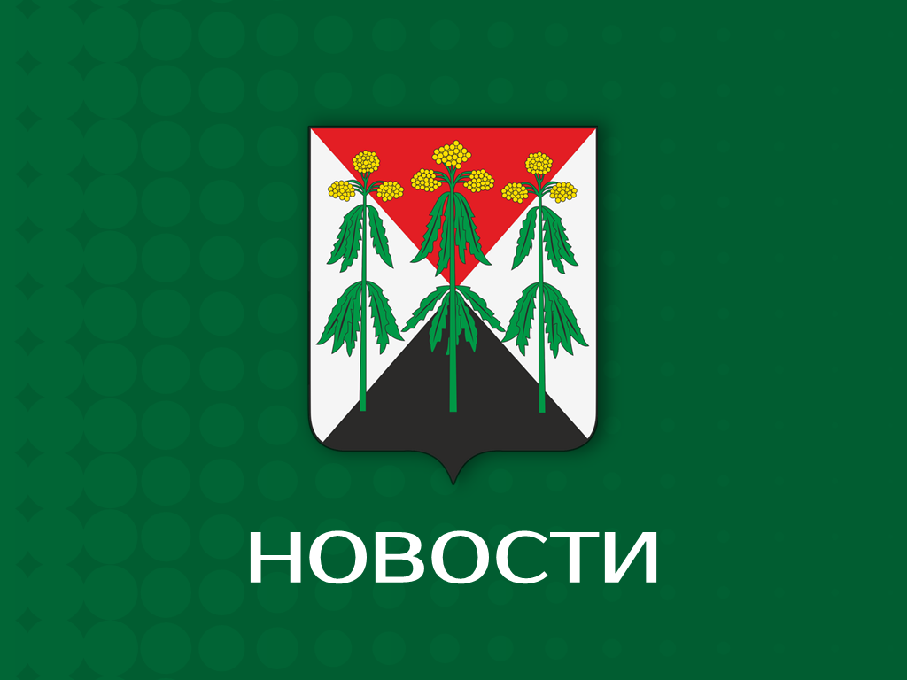 В Управлении состоялся брифинг  по вопросам кадастрового учета и регистрации недвижимости.