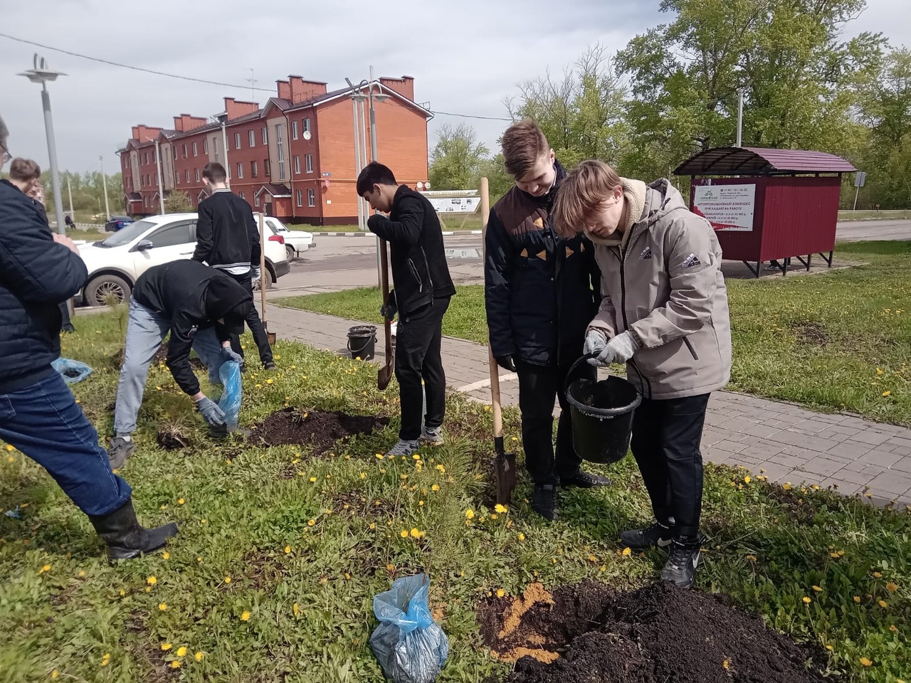 Школьники высадили «зелёные памятники» в честь погибших в годы Великой Отечественной войны.