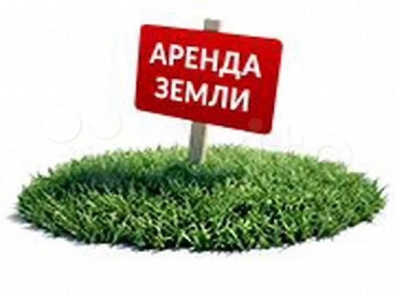 Аренда земельных участков.