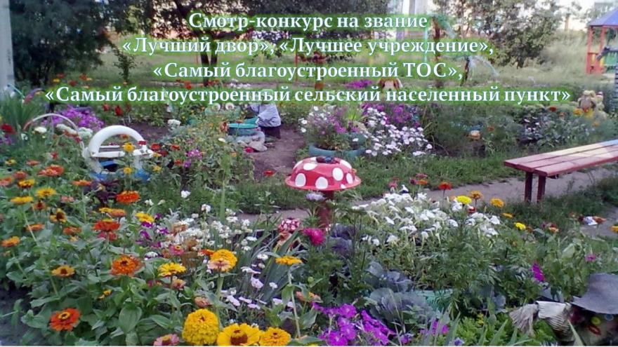 Ежегодный смотр – конкурс на звание «Лучший двор», «Лучшее учреждение», «Самый благоустроенный ТОС», «Самый благоустроенный сельский населенный пункт» стартует с 7 июля 2025г..