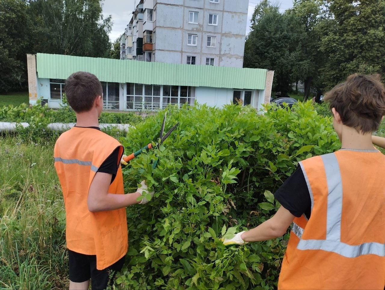 Работающие подростки помогают сделать город чище.