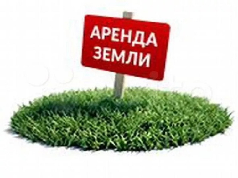 Аренда земельных участков. Аренда земельных участков.