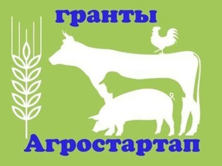 Об отборе проектов по выделению грантовой поддержки.. Об отборе проектов по выделению грантовой поддержки..