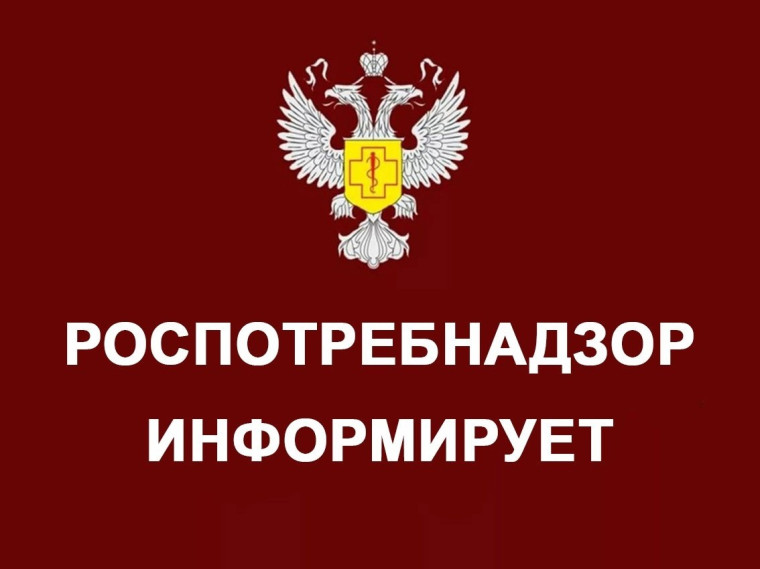 Самые эффективные методы борьбы с грызунами. Самые эффективные методы борьбы с грызунами.